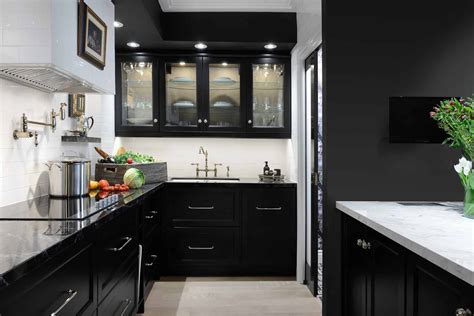 modern black kitchen cabinets